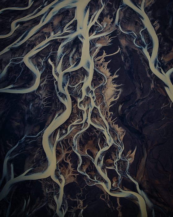 Damien Gilbert tweet media