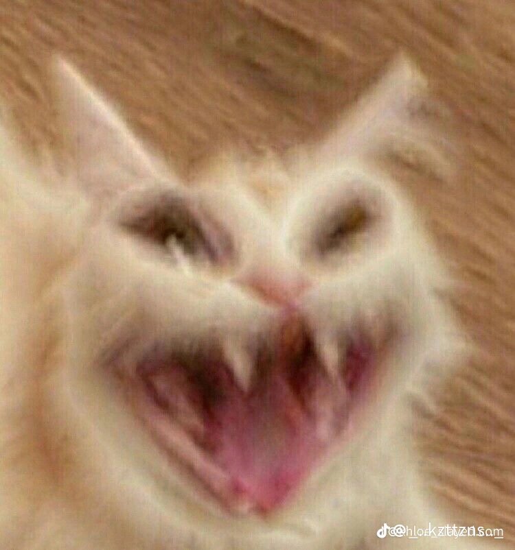 dsmp_k1d's tweet photo. @RespectfulMemes https://t.co/jb5B5z0XJX