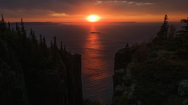 Damien Gilbert tweet media