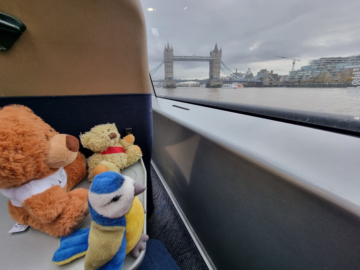 We are very excited to be on the River Thames on a <a href="/thamesclippers/">Uber Boat by Thames Clippers</a> boat heading for a fun day out in Greenwich. Our friend Chester has joined us, and this is his first boat trip. We also have chocolate. Yummy!