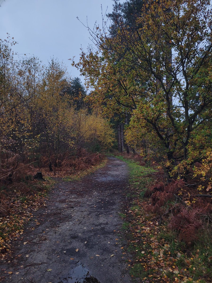 Gm! Nature walks are the best, and always required to cleanse yourself 🥰