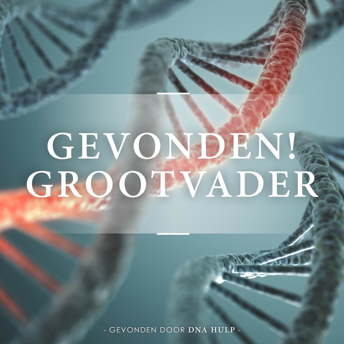 AnnemiekevdVegt's tweet photo. Cliënt wilde zijn vader kunnen vertellen wie zijn vader is. We vonden zijn betovergrootvader met 22 kinderen. Door hun partners uit te werken met matches, vonden wij zijn grootvader.
Ik denk dat hij zijn vader geen mooier cadeau had kunnen geven. #DNArocks #DNAHulp #Lovemyjob https://t.co/7N2qU60fz7