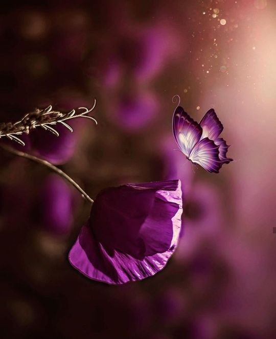 eshtarbableon's tweet photo. ﴿فَنِعۡمَ أَجۡرُ ٱلۡعَـٰمِلِینَ﴾

اجتهــد فــي الصالحــات، 
فثمــة نعيــم لا يبلــى، وخيــرٌ لا ينقطــع، وجنّــة لا تفــنــى ♥️. https://t.co/0aV2m5NOVY
