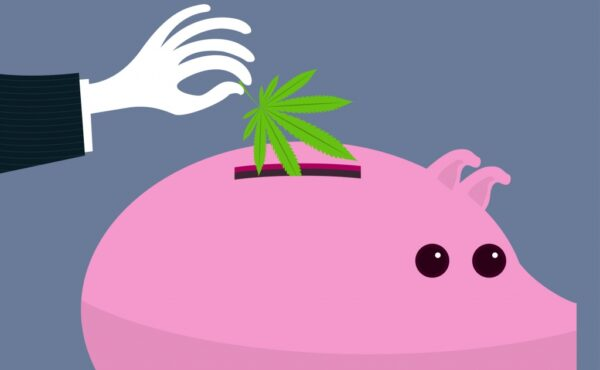 Interesting article about Investment into the Cannabis Market....top, middle, bottom or.... read on #cannabis #cannabiscommunity #weed #marijuana #thc #CBD #cannabisculture <a href="/cbt_bot/">CBT役に立つかもしれない情報bot</a> <a href="/TheWeedSpot_/">WeedBOT</a>