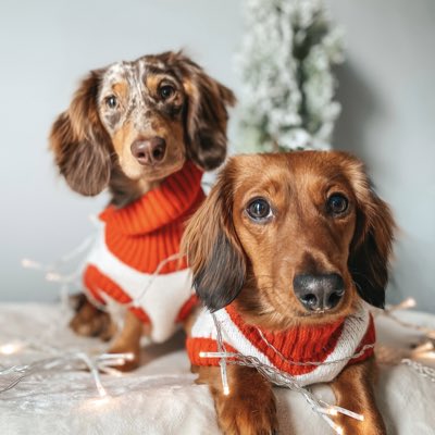 #NewProfilePic 🎄❤️