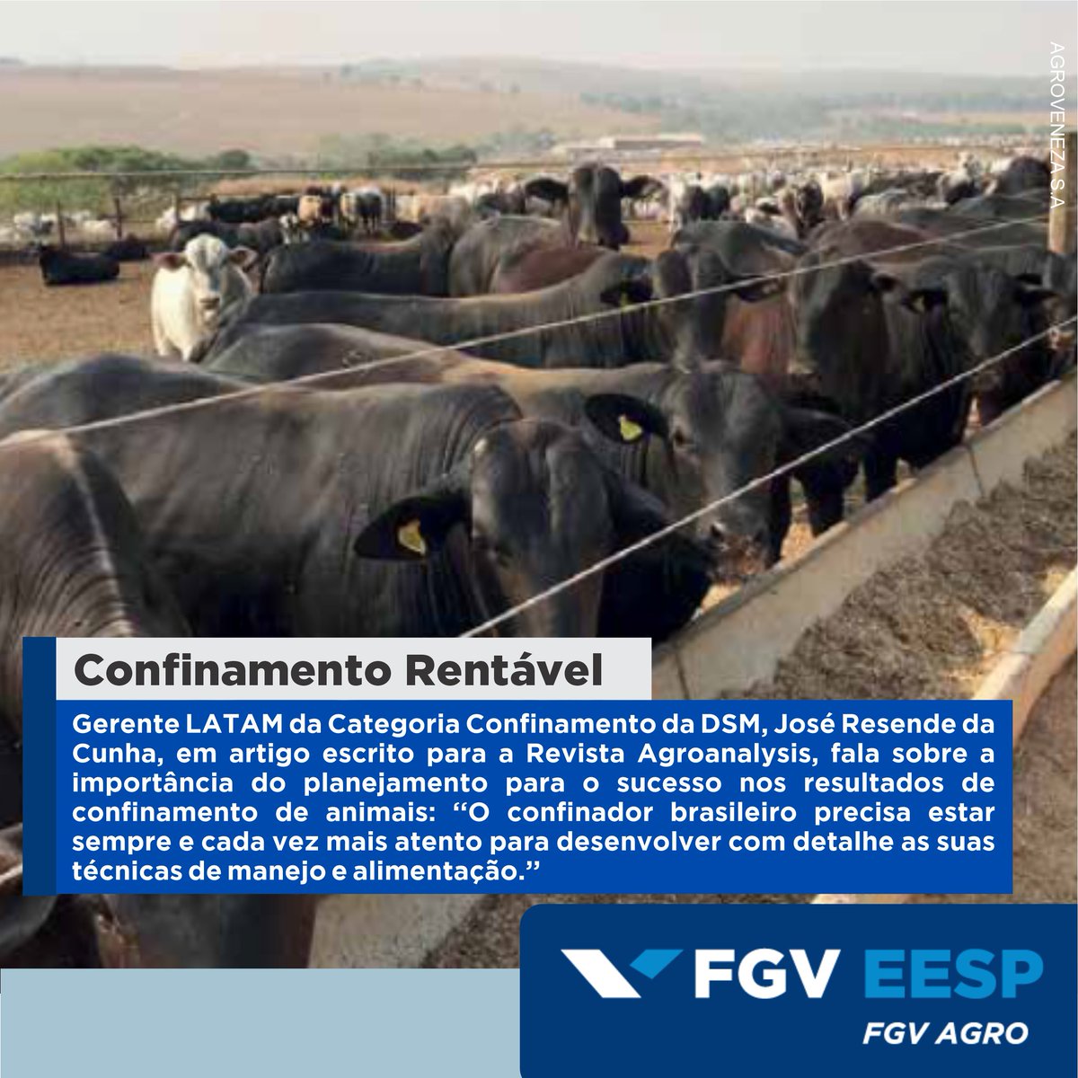 fgv_agro's tweet photo. A revista Agroanalysis publicou artigo do Gerente LATAM da Categoria Confinamento da DSM, José Resende da Cunha, que mostra a importância do planejamento para o sucesso nos resultados de confinamento de animais. Leia mais https://t.co/U9UJM31jTJ @DSMLatam #fgvagro #agroanalysis https://t.co/74ee0bUTYm