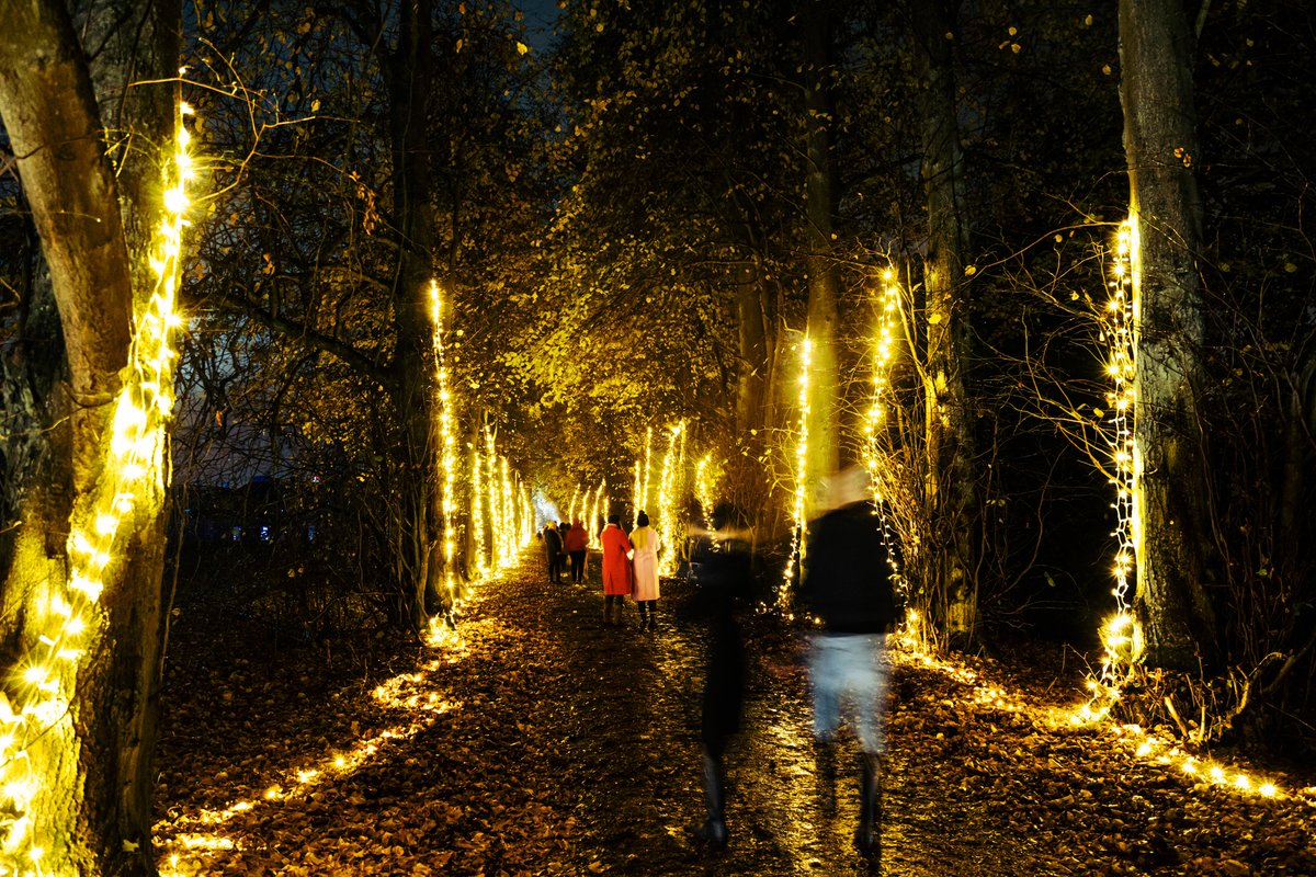 21CC Group Ltd tweet media