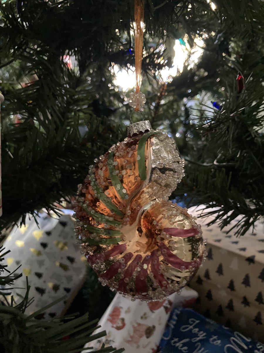 RavennWright's tweet photo. Nothing says #Christmas better than #deepsea and #obscure animal ornaments 🎄💙

I found #blobfish, #anglerfish, #narwhal, and #chamberednautilus tree ornaments. 

What unique ocean/deep sea ornaments has everyone else found?? https://t.co/BuxEI2gCsP