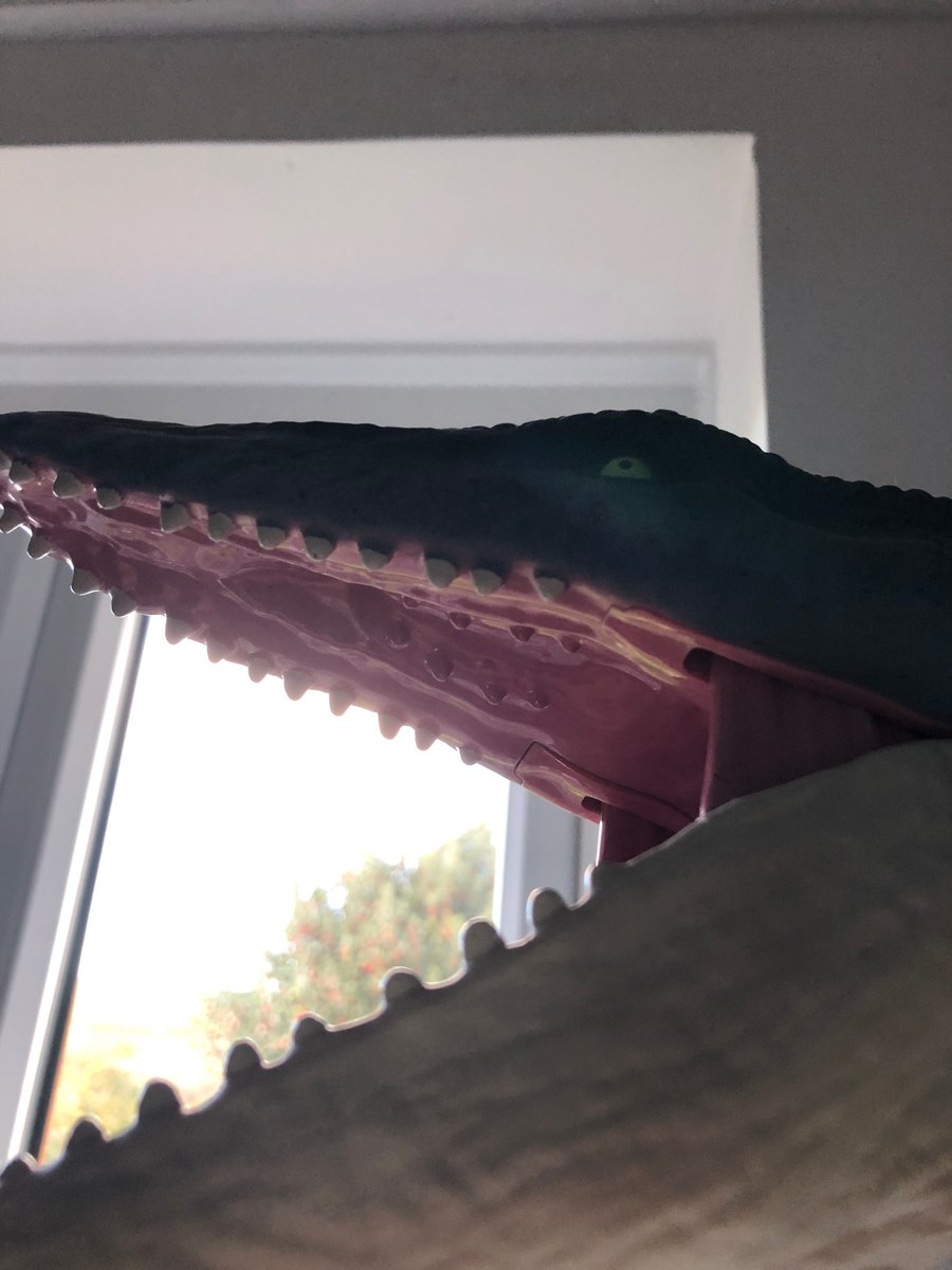 So close to 10 followers!🦖😀