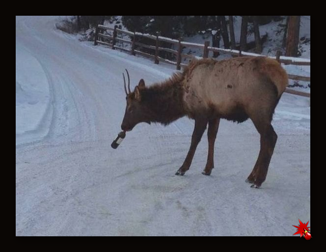 Жена пьяница горе в семье
