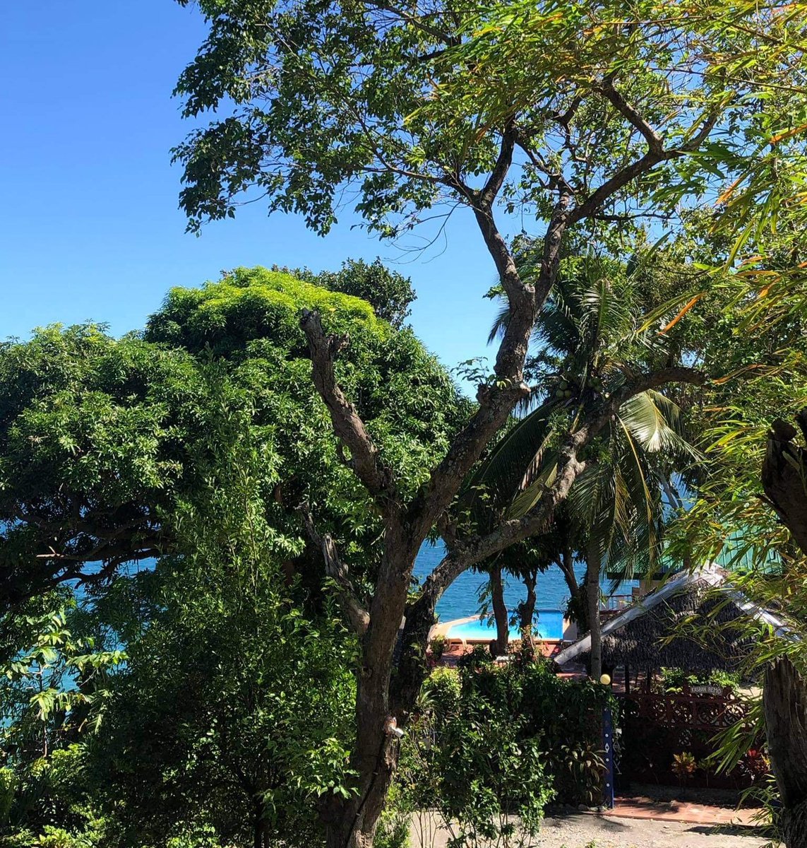 GentriSenyo's tweet photo. Last weekend's triptayo private tour in a beach villa with gorgeous views in Puerto Galera. #PuertoGalera #triptayo https://t.co/t89OPgccQI