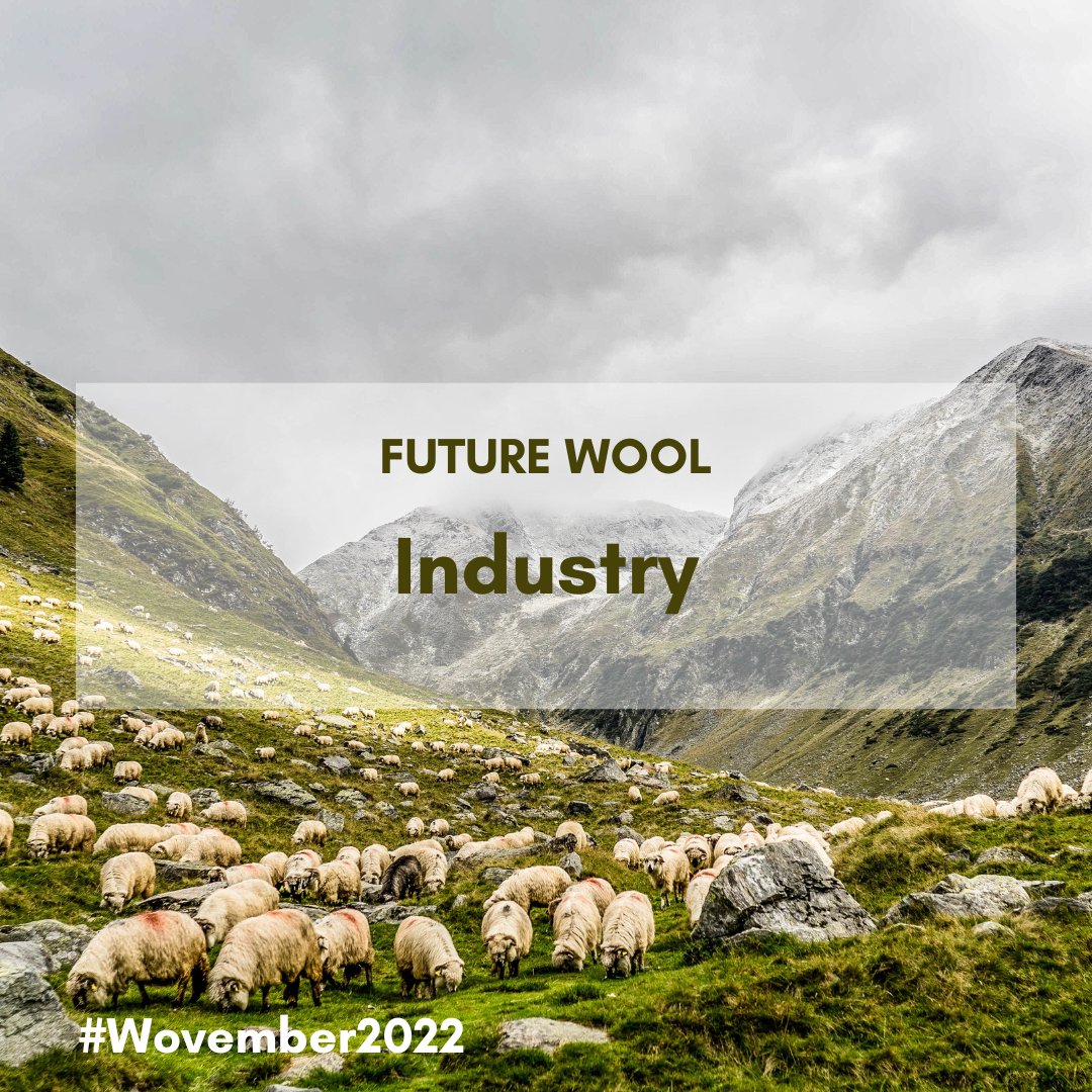 Wovember's tweet photo. Day 28 of #Wovember2022 is 'Industry'.

Cottage industry, farming, big machines in mills. What does industry mean to you in the context of wool?
#wovember #werawool #mywooljourney #woolindustry #wool #knittingindustrycreative #knittingindustry #weavingindustry #industrialweaving https://t.co/ssbhJZEWWv