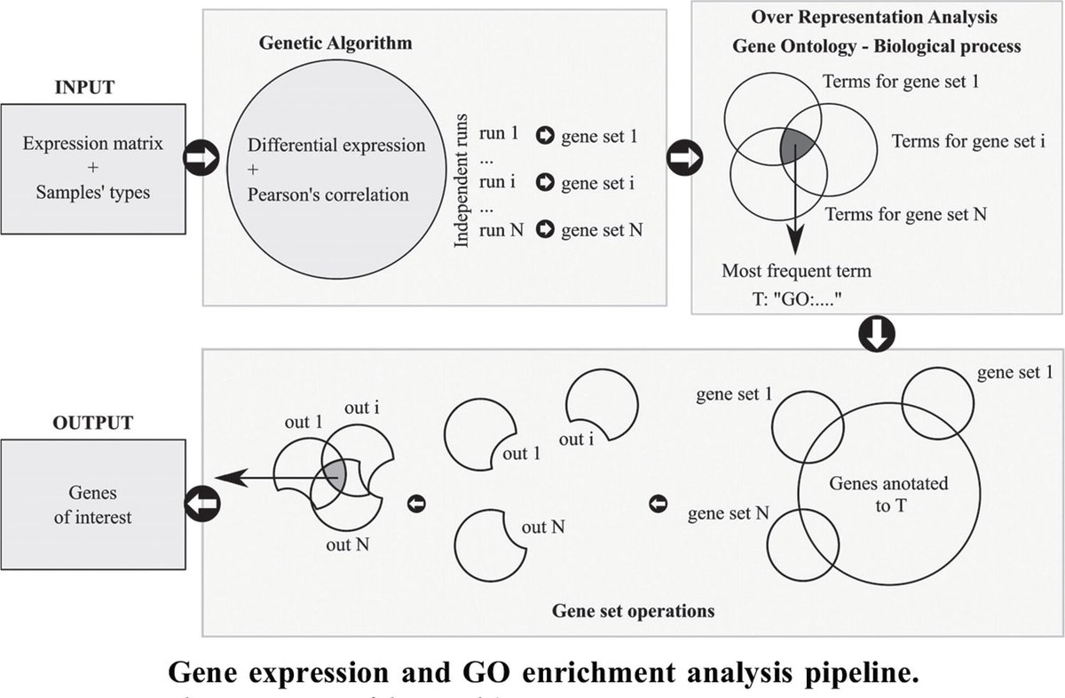 BenthamScienceP's tweet photo. (impact factor 4.850)📢
This paper presents a sequence of steps to gain biological knowledge from microarray gene expression data. #CBIO

🔗 https://t.co/SR32KTtYk2

#Functionalgnomics #geneticalgorithm #microarraydataanalysis #geneontology #mutualinformation #benthamscience https://t.co/tQ40BBUtOq