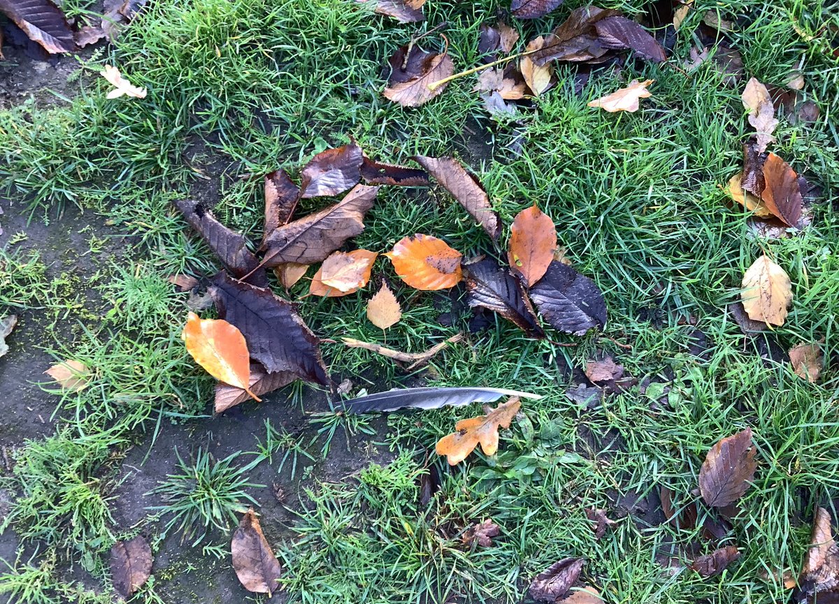 Look at our amazing Year 1 Forest School Art! Lots of teamwork, creativity and fun!🌲🍂