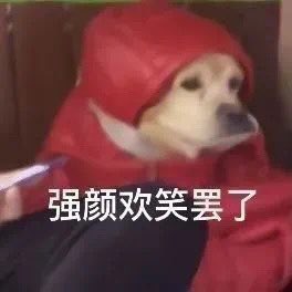 lxlevi_candy's tweet photo. 头一次很焦虑 很焦虑 没事干的时候觉得研究生很摆 被导师push的时候焦虑的我做梦都是课题和导师骂我 妈的 真的好想哭😭还被封在寝室里 该死的盒饭 逃离学校昨天没买票 往后一个月都没票了 犹豫就会败北 果断就会白给 妈的 难受 https://t.co/fp4H41Fwpg