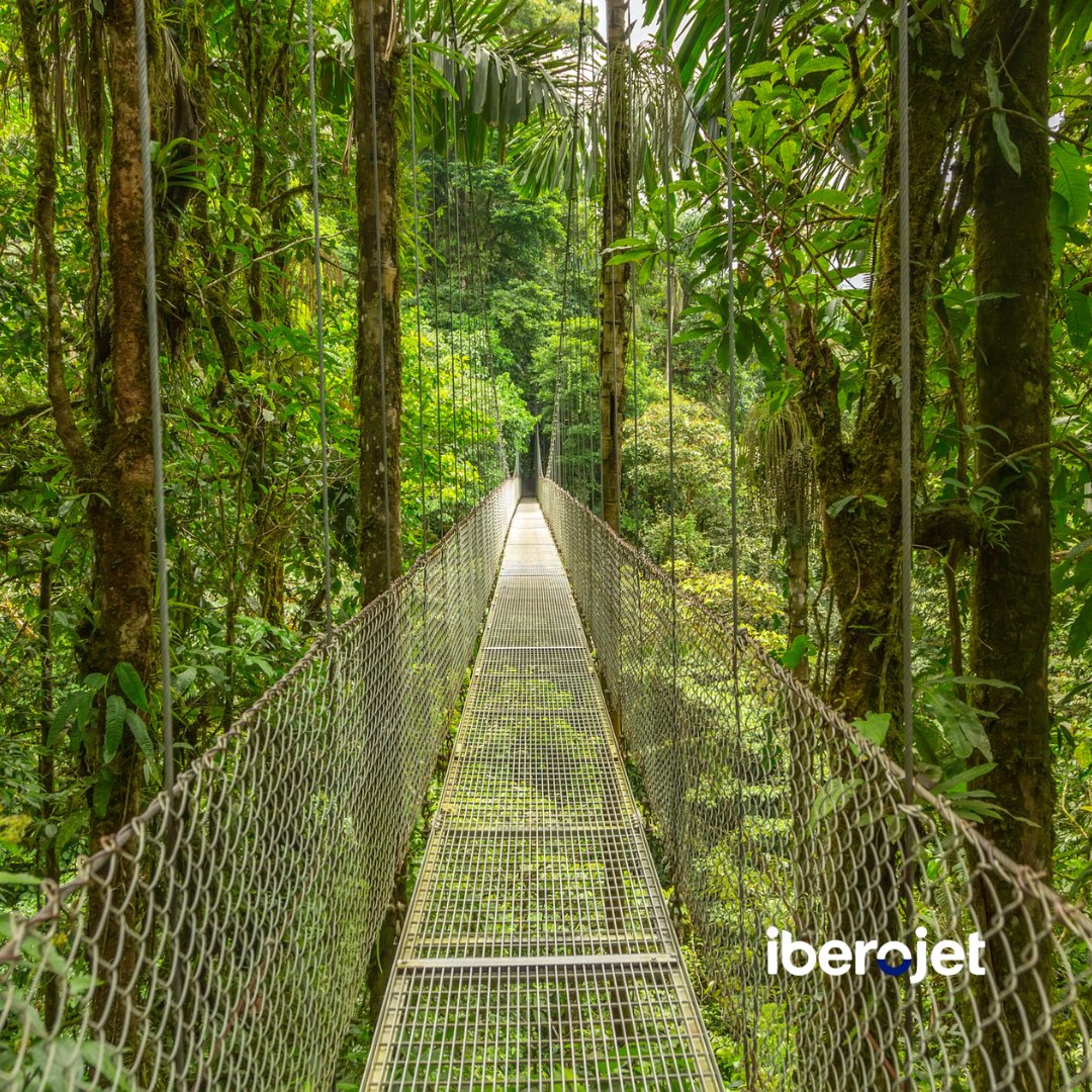 🌴 Si te decimos Costa Rica, ¿qué es lo primero que se te viene a la mente? Empezamos nosotros: 𝗡𝗮𝘁𝘂𝗿𝗮𝗹𝗲𝘇𝗮 bit.ly/3DFsB81 #destinosiberojet #volandoconiberojet #SetratadeVolar