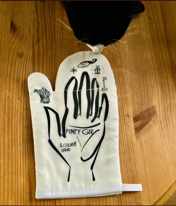 PineyGir's tweet photo. Thank you @marimindles for the snap 📸 of the #alchemyhand #ovenmitt in its natural habitat &amp;/cute  #catcontent 🐾🪬🎶 y’all can nab an oven mitt here - link in bio https://t.co/muIcez5P6r #smelltheglove https://t.co/Rwbyn2cxzU https://t.co/GX2fUcNCXA