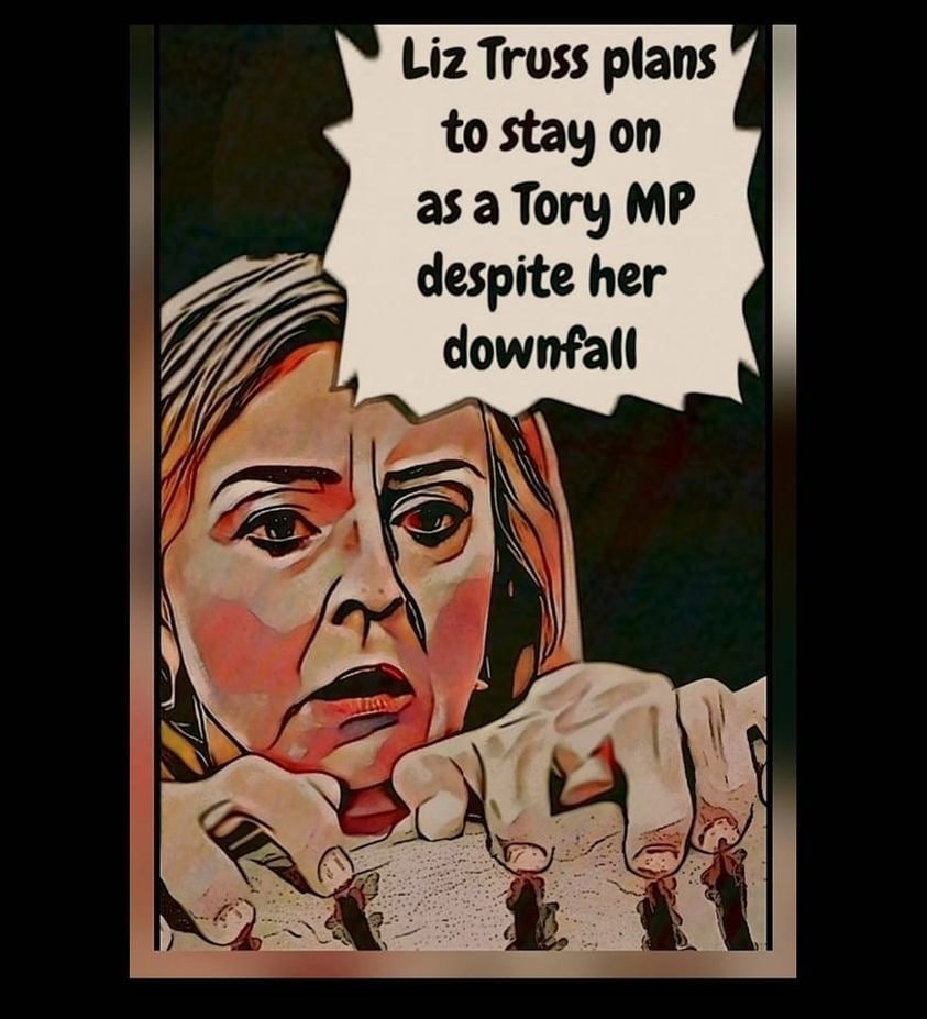 Anti Tory Memes (@antitorymemesfb) on Twitter photo 