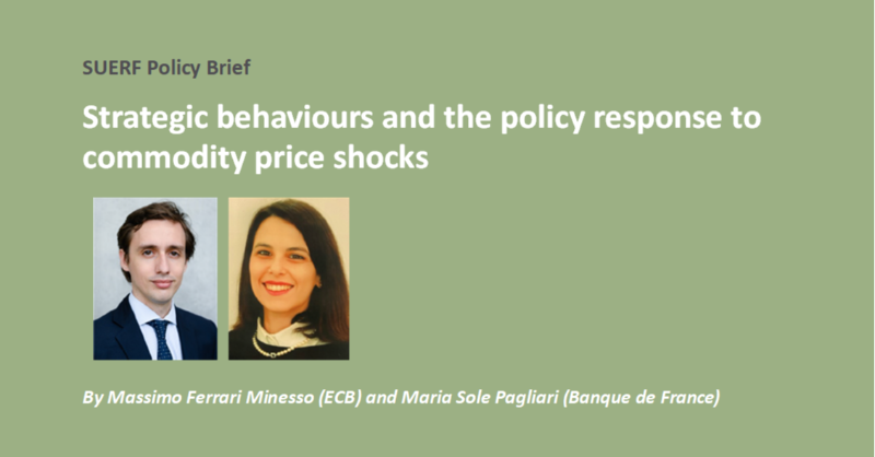 suerf_org's tweet photo. #SUERFpolicybrief “Strategic behaviours and the policy response to commodity price shocks” by Massimo Ferrari Minesso @ecb and @MSPagliari @banquedefrance
#DSGEModel #OptimalPolicies #ComputationalEconomics