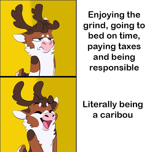NewtonCaribou's tweet photo. Me everyday: https://t.co/GZf0MIg41f