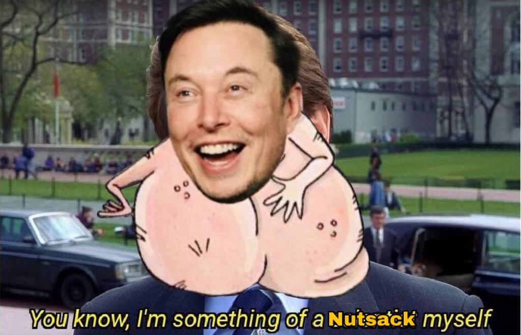 ElonsNutsackERC's tweet photo. @elonmusk https://t.co/m5QrBcgvK2