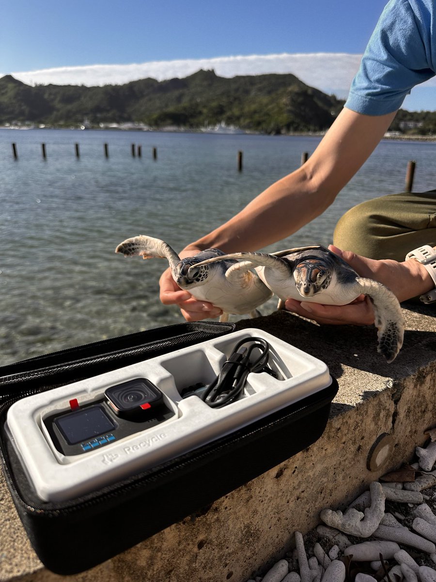 mt_seaturtle's tweet photo. なんとなんと….😳

#wishlist  より「GoPro HERO10」のご寄付がありました！ありがとうございます！PR動画にたくさん使わせていただきます🐢

Amazonの #ブラックフライデー 真っ只中… みなさまの温かいご支援をスタッフ一同お待ちしております。

Wishlistでサポート ▷ https://t.co/mdQq3UbFQe https://t.co/IdXg6Ch3Yz