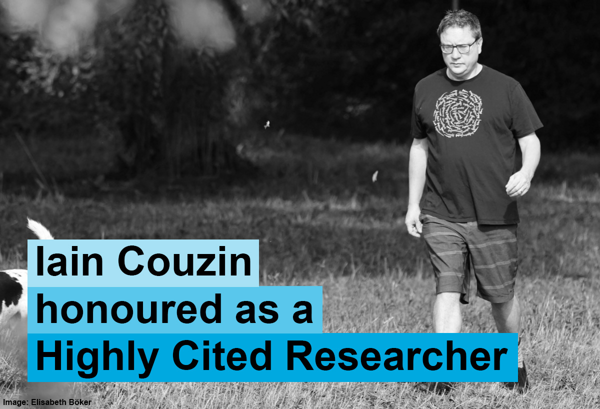 Universität Konstanz (@unikonstanz) on Twitter photo For the fifth time in a row: #UniKonstanz <a href="/CBehav/">Centre for the Adv Study of Collective Behaviour</a> researcher <a href="/icouzin/">Iain Couzin</a> is named in the #HighlyCited2022 <a href="/Clarivate/">Clarivate</a> <a href="/webofscience/">Web of Science</a> list. So we asked him five questions about this special number: t1p.de/59en0 #UniKonstanz <a href="/MPI_animalbehav/">MPI-AB is on Bluesky @mpi-animalbehav.bsky.social</a> <a href="/CollectiveBehav/">Collective Behavior</a> For the fifth time in a row: #UniKonstanz <a href="/CBehav/">Centre for the Adv Study of Collective Behaviour</a> researcher <a href="/icouzin/">Iain Couzin</a> is named in the #HighlyCited2022 <a href="/Clarivate/">Clarivate</a> <a href="/webofscience/">Web of Science</a> list. So we asked him five questions about this special number: t1p.de/59en0 #UniKonstanz <a href="/MPI_animalbehav/">MPI-AB is on Bluesky @mpi-animalbehav.bsky.social</a> <a href="/CollectiveBehav/">Collective Behavior</a>