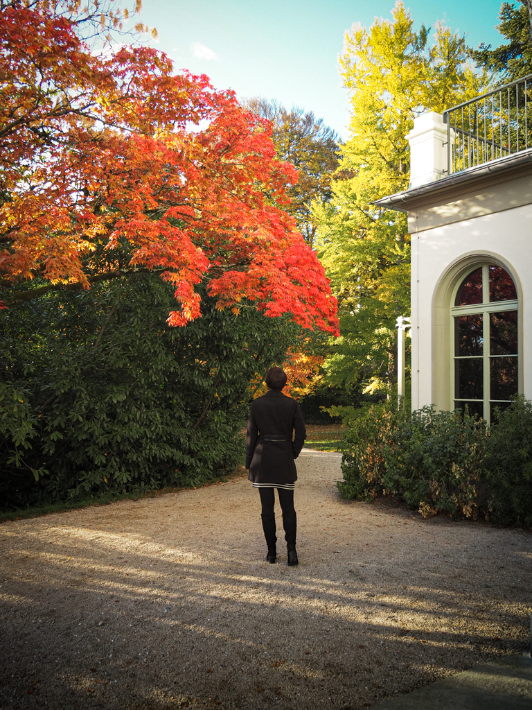 chaplins_world's tweet photo. 🍂 Autumn is here, in glorious warm colours. But in the park… 😍 #chaplinsworld https://t.co/iJi6MLnule