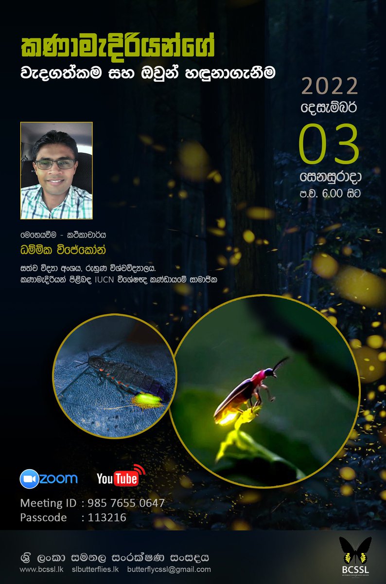 #BCSSL monthly lecture
"Significance and Identification of Fireflies"
By Dammika Wijekoon, lecturer at University of Ruhuna, member of IUCN Firefly Specialist Group
Medium - Sinhala
3rd of December at 6 PM
Zoom meeting ID: 985 7655 0647
Passcode: 113216
#insects #fireflies #lka