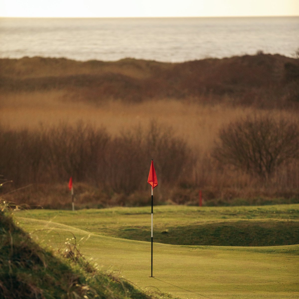 BurnhamBerrow's tweet photo. Majestic morning light on the Channel Course.💫

#mondaymorningmotivation #linksgolf #9holegolf #golfcourselife #golfcoursedesign #golfisbeautiful #burnhamonsea #somersetgolf https://t.co/wO8qUvZEJP