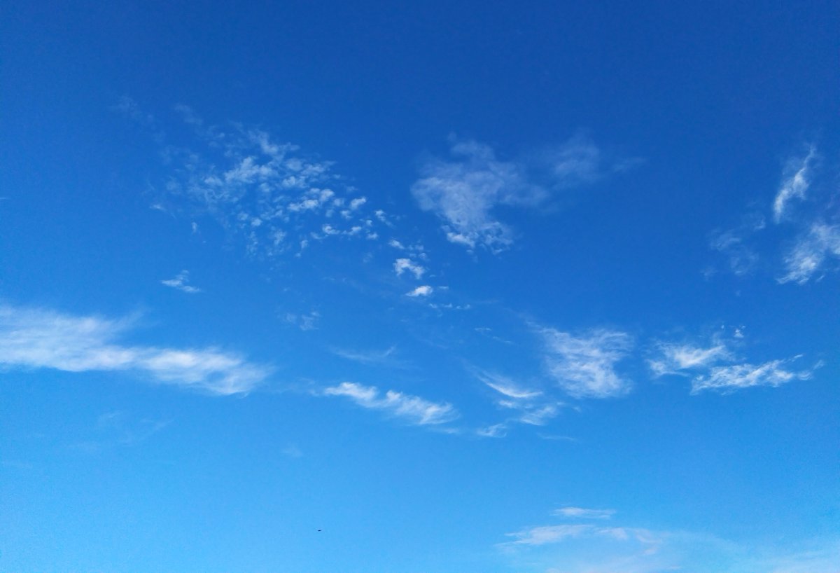 random weather bot tweet media