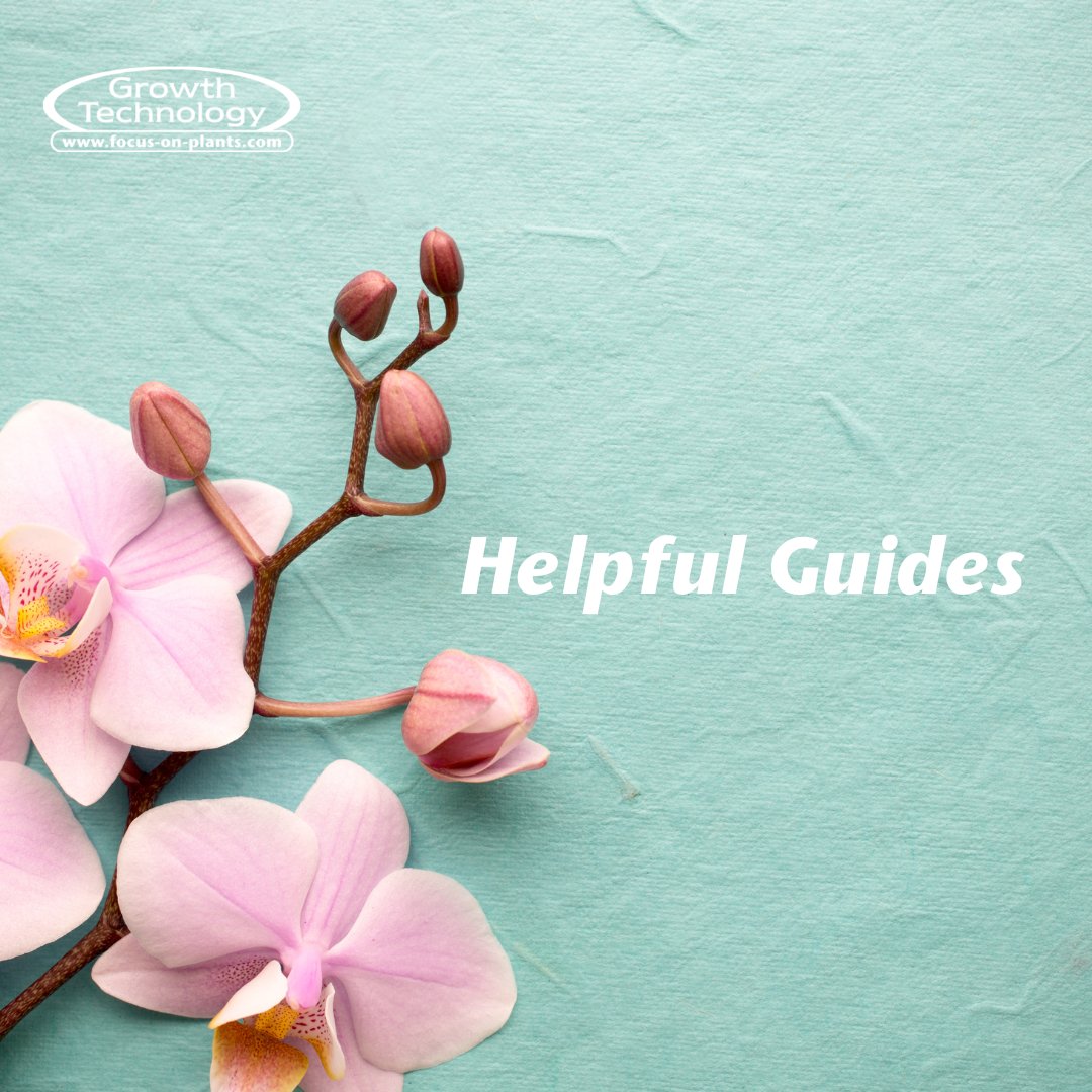 FocusPlants's tweet photo. We have so many FREE helpful guides to assist you care for your plants >> https://t.co/Xp5gi0hIUj

#houseplants #houseplantsuk #gardencentres #plants #orchids #orchidcare #houseplantadvice #planthelp #houseplanthelp #houseplanttips #bonsaitips #flowers #gardeningtips #gardening https://t.co/zTJ6ZJ7JBM