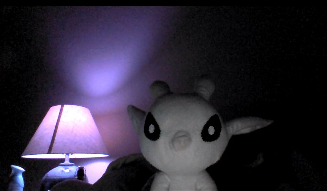 Squibbus tweet media