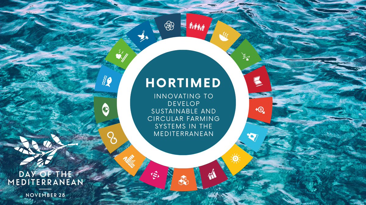 HortimedPRIMA's tweet photo. @HortimedPRIMA joins the #MediterraneanDay 🌊celebrations to promote cooperation and strengthen ties between our two shores!

Working together for the achievement of #sustainable #farming systems in the #Mediterranean

@PrimaProgram @UfMSecretariat @SDGoals https://t.co/lgwP5Njjhl