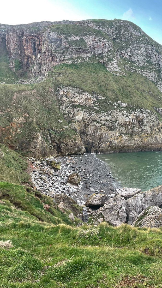 Lisa, The Beast & Billy tweet media