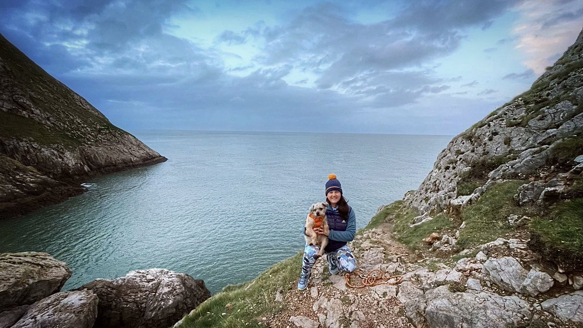 Lisa, The Beast & Billy tweet media