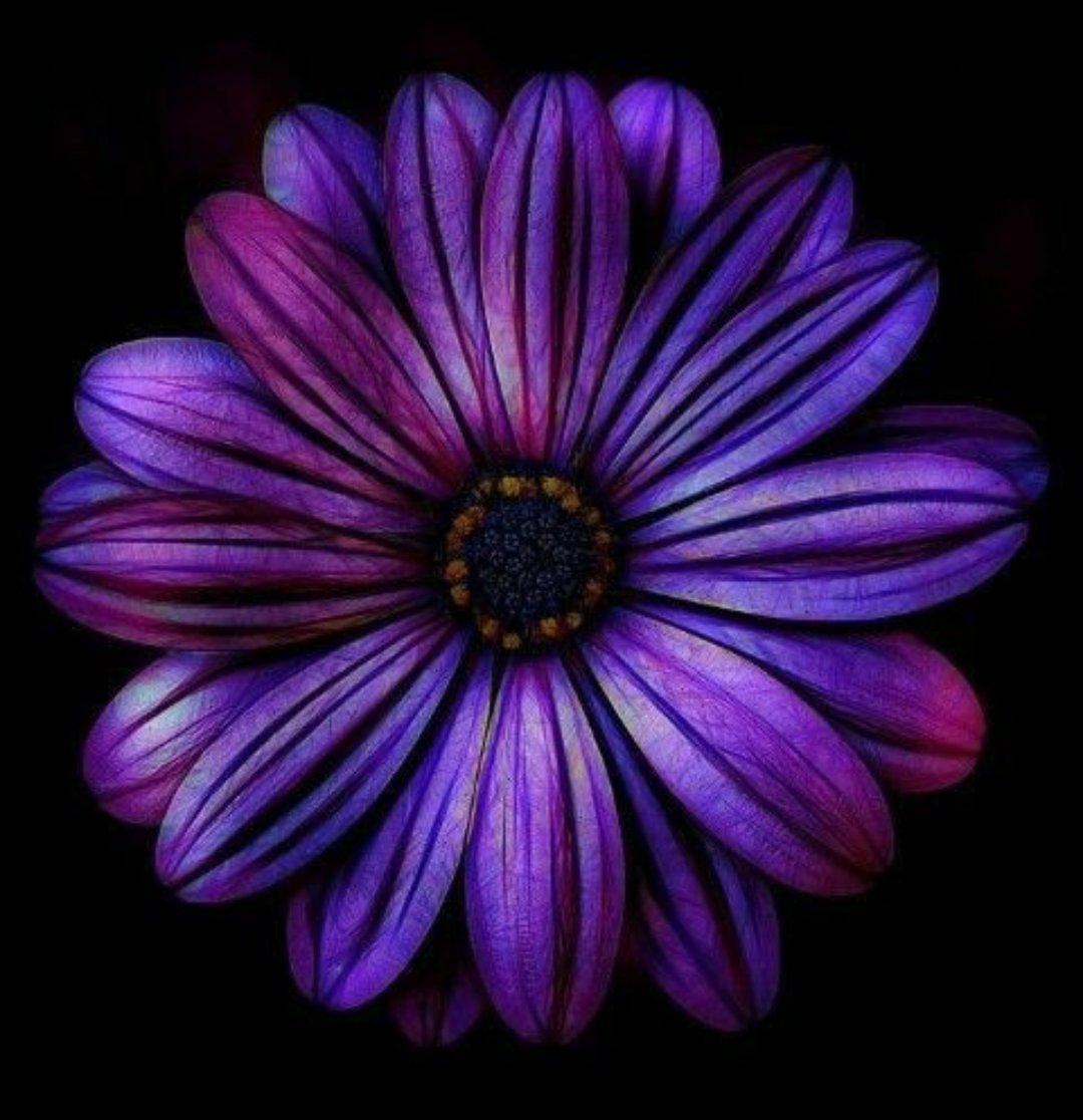 mariia_panko's tweet photo. Have a good week 🙌
#cytopath #cytology #papsmear #gyncytology #ectopy https://t.co/SiAw3BzF1u