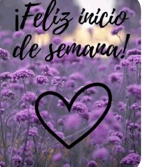 lobitachilena's tweet photo. Buenos dias 🥰. Qué maravilla,  una mañana fresca como si viviera en la playa . 👌😉 https://t.co/RI2xHtgJS7