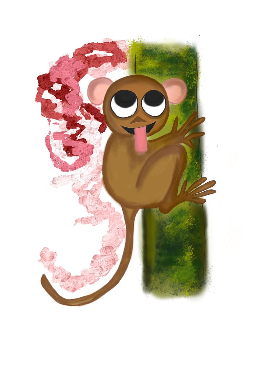 mayo_nft9's tweet photo. Tarsier #Philippines https://t.co/Wn9A7tRUZQ