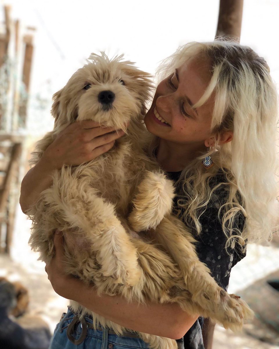 Puppies are the cutest. So are kitty cuddles, kisses from our dogs and endless amounts of animals that require our attention right that second. 
Come volunteer with MAA.