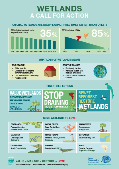 #Wetlands are our most valuable ecosystem with critical services for #biodiversity, health, water security and climate adaptation.

But we are losing wetlands 3⃣ times faster than forests. We must accelerate actions for the conservation &amp; #restoration of them.

#ActForWetlands