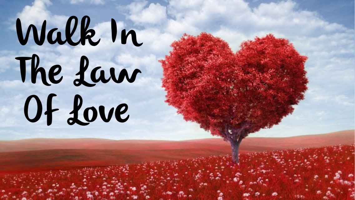 thompsonb2569's tweet photo. @JohnBenCawley1 Amen 🙏🏻✝️❤️ Thank you always John Ben for the loving reminder. ❤️❤️❤️ https://t.co/ehvzFssazE