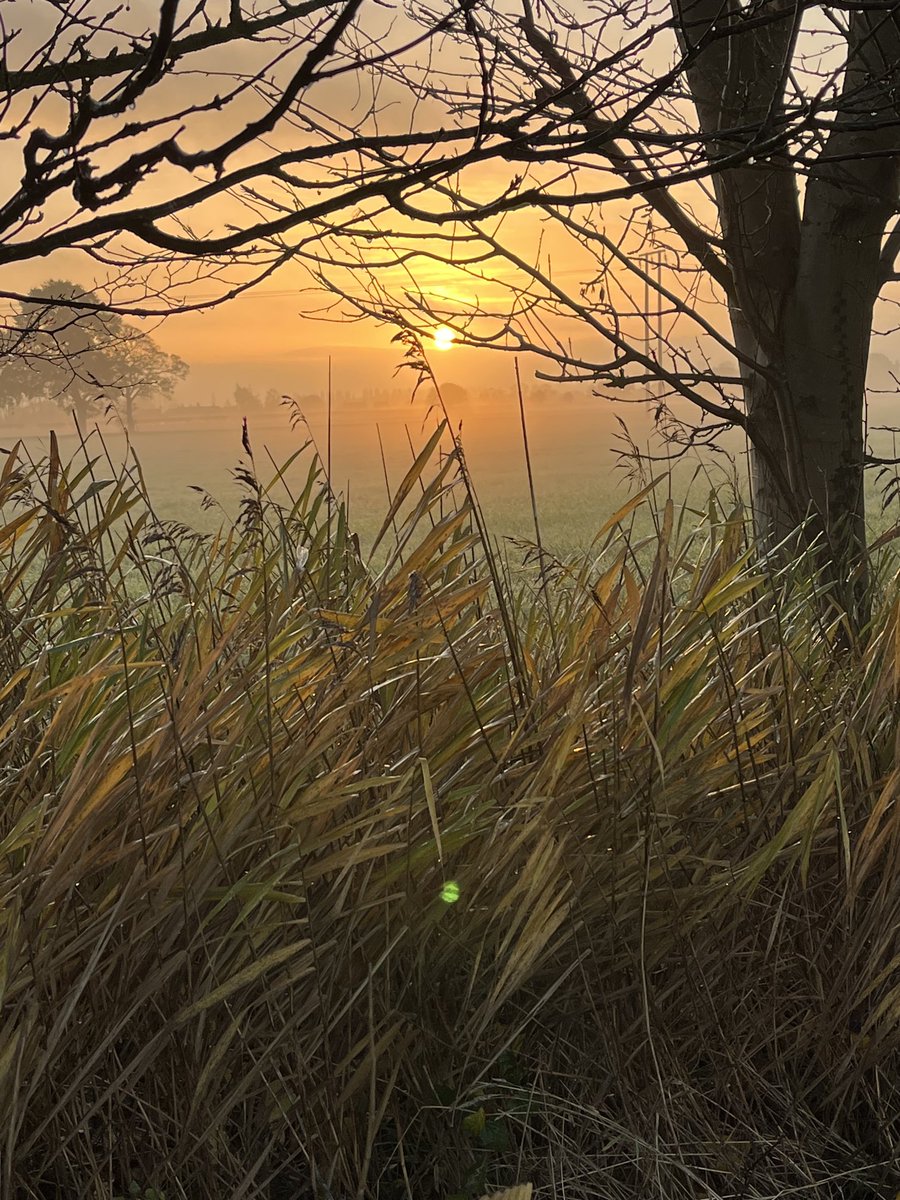 SustEnvFarming's tweet photo. Glorious morning
#farmedenvironment https://t.co/tTAcdidNDI