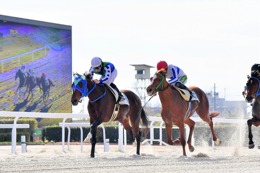 笠松競馬場 on Twitter