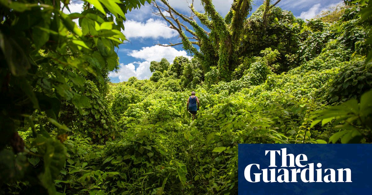 _ForestSchool's tweet photo. 🇬🇧 Japanese Knotweed
🇬🇧 Himalayan Balsam
🇬🇧 Giant Hogweed
What do you know about🌱 invasive species abroad? The Fijian island being strangled by vines. Read more... https://t.co/wDiyQYdasL

#forestschool #outdoorlearning #invasivespecies https://t.co/Zl0Zy7r3fW
