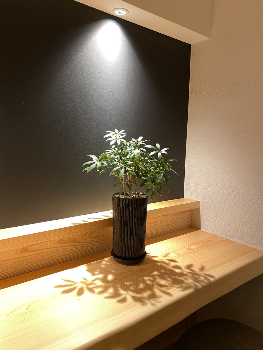 NPO_birth's tweet photo. スタッフにとって居心地の良いオフィスとは?
#birthoffice
#脱炭素
#ゼロエミッション
#地産地消
#ペレットストーブ
#wellbeing
#バイオフィリックデザイン
#well認証
#npobirth
#サスティナブル https://t.co/5lwclJ0pu0