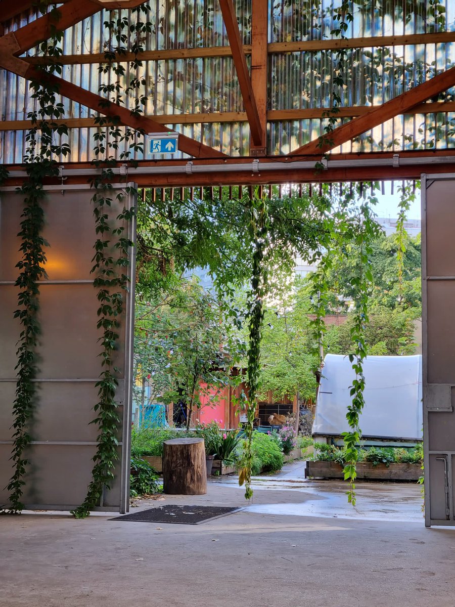 Maya Seth tweet media