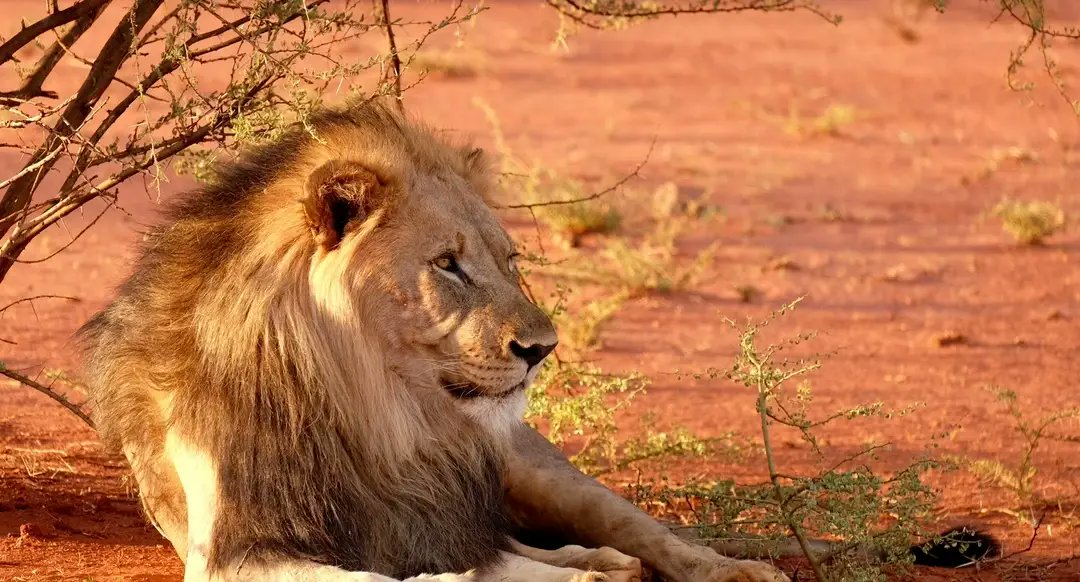 Road.Travel tweet media