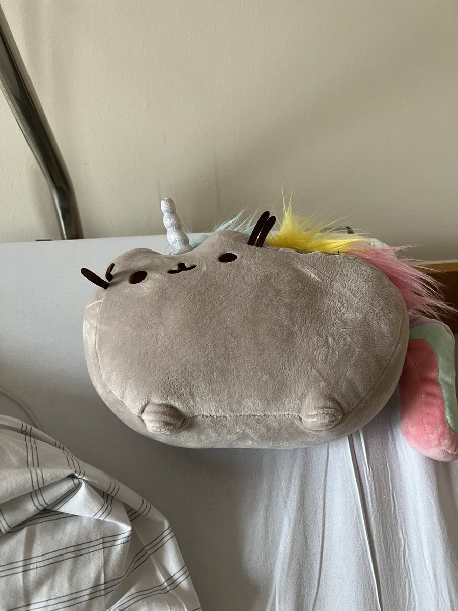 Mein Zimmernachbar is ganz entspannt hier 👀