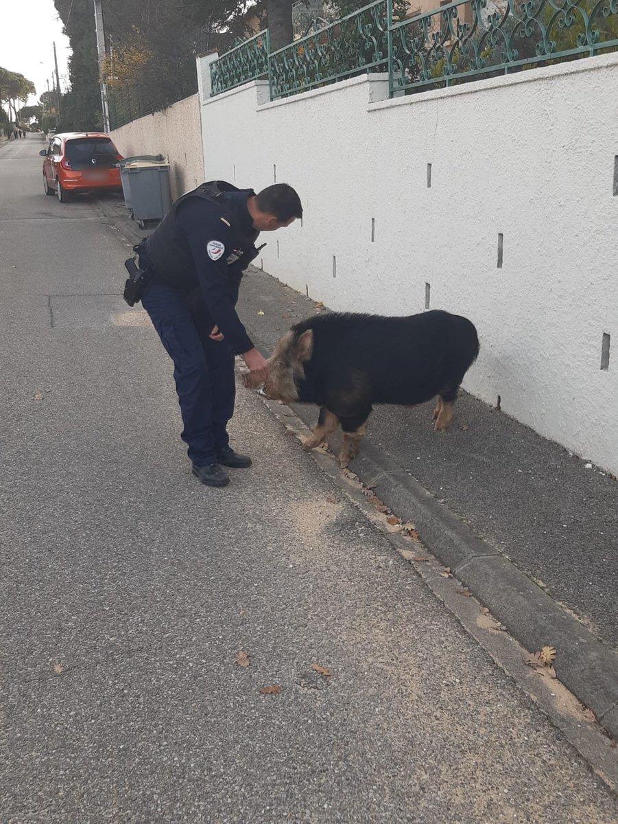 Police Nationale 30 tweet media